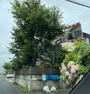 住宅の角のゴミ捨て場に設置された防犯灯を写している写真