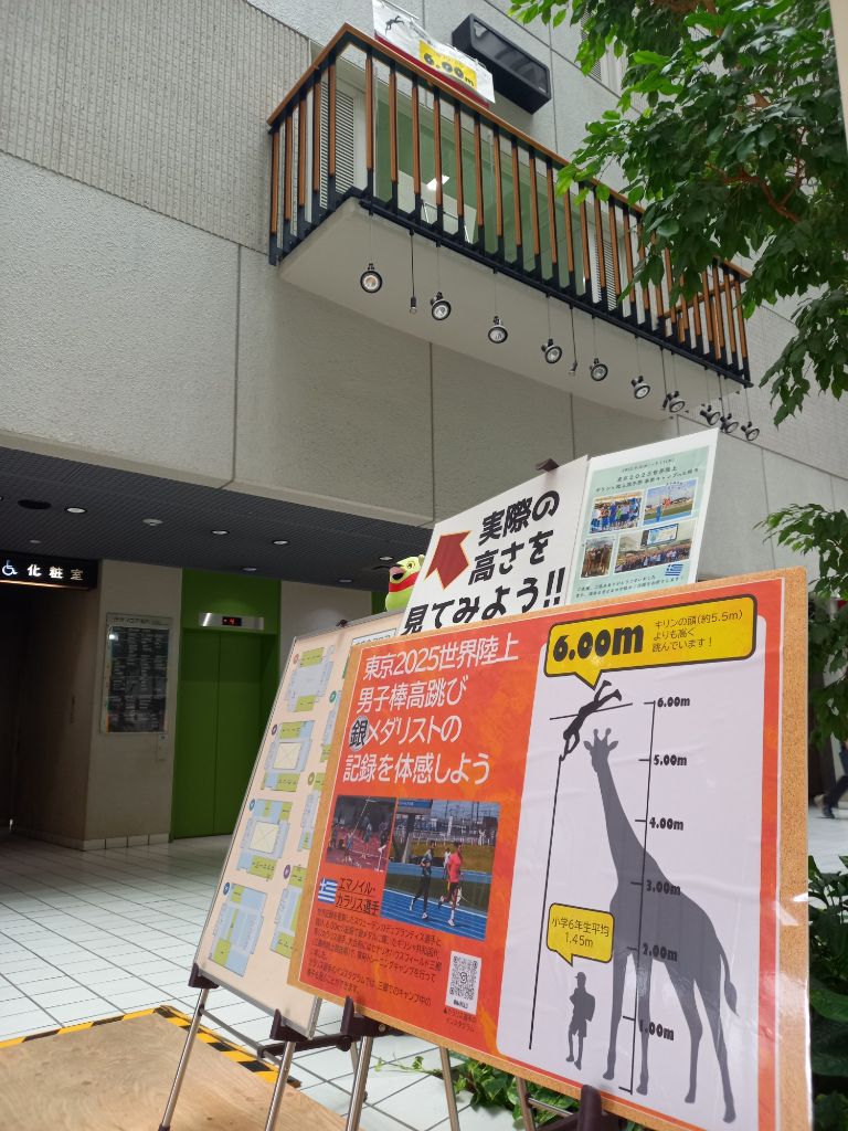 棒高跳び展示