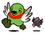 両羽を広げジャンプして地面に影がうつっているかいちゃんとつぶちゃんのイラスト