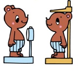 2頭のクマが体重や身長を測っているイラスト