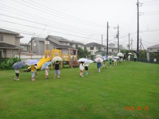 傘をさして雨の園庭を散歩する5歳児クラスの様子