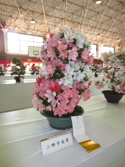 盆栽にピンクや白、所々に赤の花も混じっているサツキの花が咲いている作品に、「三郷市長賞」のボードが置かれている写真