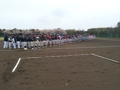 周囲に桜の花が咲いている野球場の中央で、少年野球の子供たちを先頭に並んでいる野球チームの写真