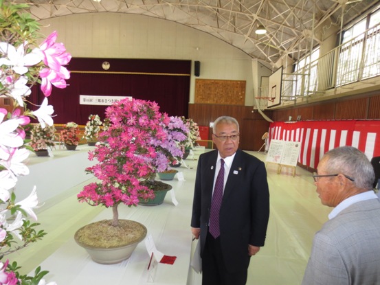 体育館内に長机が設置されており、机の上に数多くのサツキの植木が盆栽になっている。様々な作品を前に市長と関係者が話をしている写真