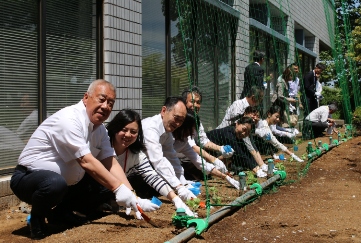 建物の高所から設置された緑色のネットの手前で、市長や職員の方々が横一列に並びゴーヤの苗を植えている写真