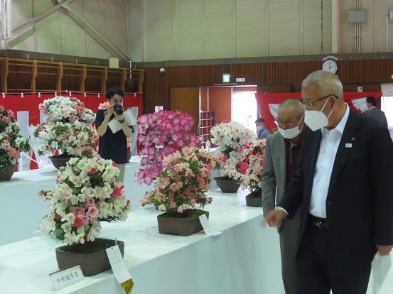 瑞沼市民センターで、白い布が敷かれたテーブルに展示されたたくさんのさつきの作品を見ている三郷市長と関係者の男性の写真