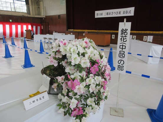 三郷市長賞