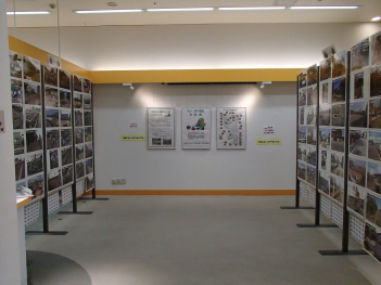 会場の両脇に設置されたパーテーションに隙間なく貼られた写真が展示されている写真