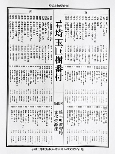 埼玉巨樹番付の写真