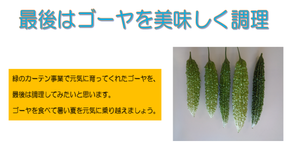 「最後はゴーヤを美味しく調理」「 緑のカーテン事業で元気に育ってくれたゴーヤを、最後は調理してみたいと思います。ゴーヤを食べて暑い夏を元気に乗り越えましょう。」と書かれ、右側に5本のゴーヤが並べられている写真