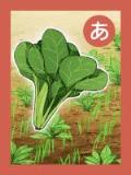 取り札 「あ」畑の上に描かれた1束の緑色の小松菜のイラスト