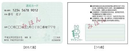 通知カードのおもて面とうら面の見本