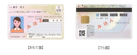 マイナンバーカードのおもて面とうら面の見本