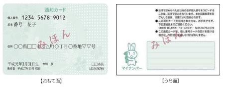 通知カードのおもて面とうら面の見本