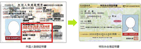 左：外国人登録証明書見本、右：特別永住者証明書見本