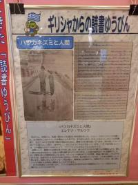 イラストやギリシャ語で書かれた文章など「ギリシャからの読書ゆうびん」と書かれた作品の写真