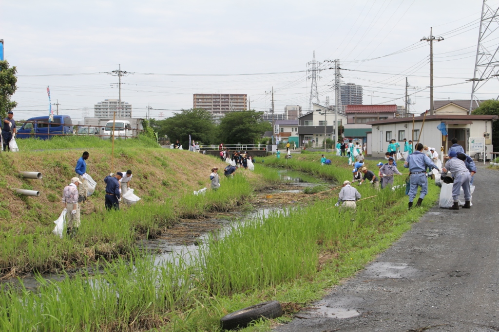第二大場川や周辺の土手を道具などを使い清掃している多くの参加者の写真