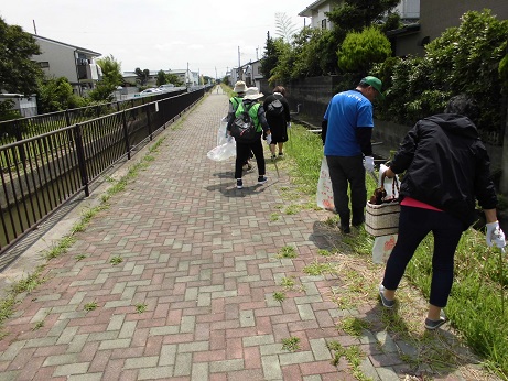 手に袋と火ばさみを持った参加者が川路のごみを拾っている様子の写真