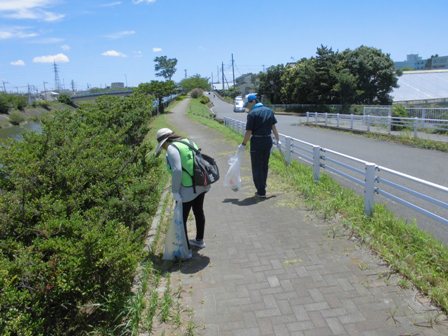 ごみ袋を持ち歩道沿いの植木をよく観察しながら清掃活動を行っている役員の方々の写真