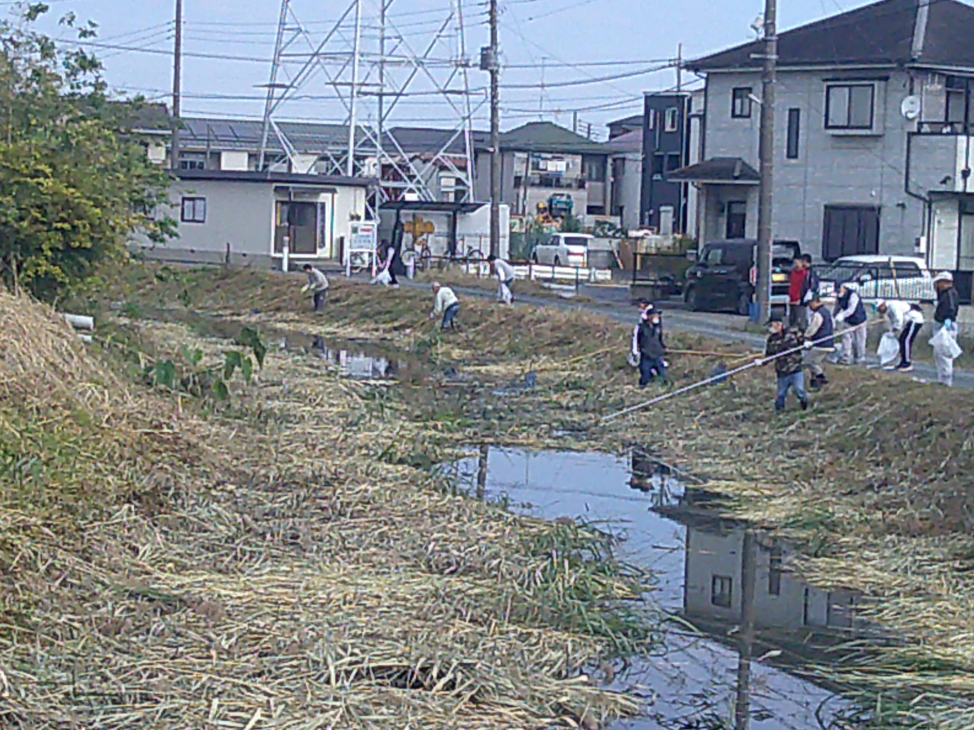 袋を持った男女数名が河川敷のゴミを火ばさみや網を使って拾っている写真
