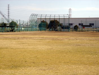 緑色のバックネットの手前に芝生の広場が広がる番匠免運動公園の写真
