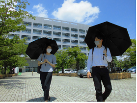晴天の下、女性と男性が黒い日傘をさして樹木が植えられている遊歩道を歩いている写真