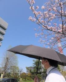 晴天の下、男性が黒い日傘をさして歩いている様子をアップで撮った写真