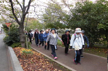 歩道の両脇に木々が並ぶ緑道を列になって歩く参加者の方々を後方から撮影した写真