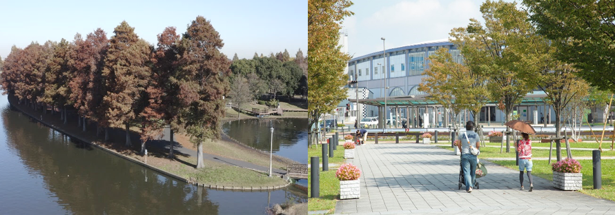 みさと公園、におどり公園の写真