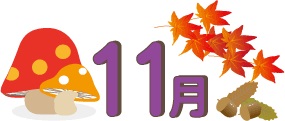 11月
