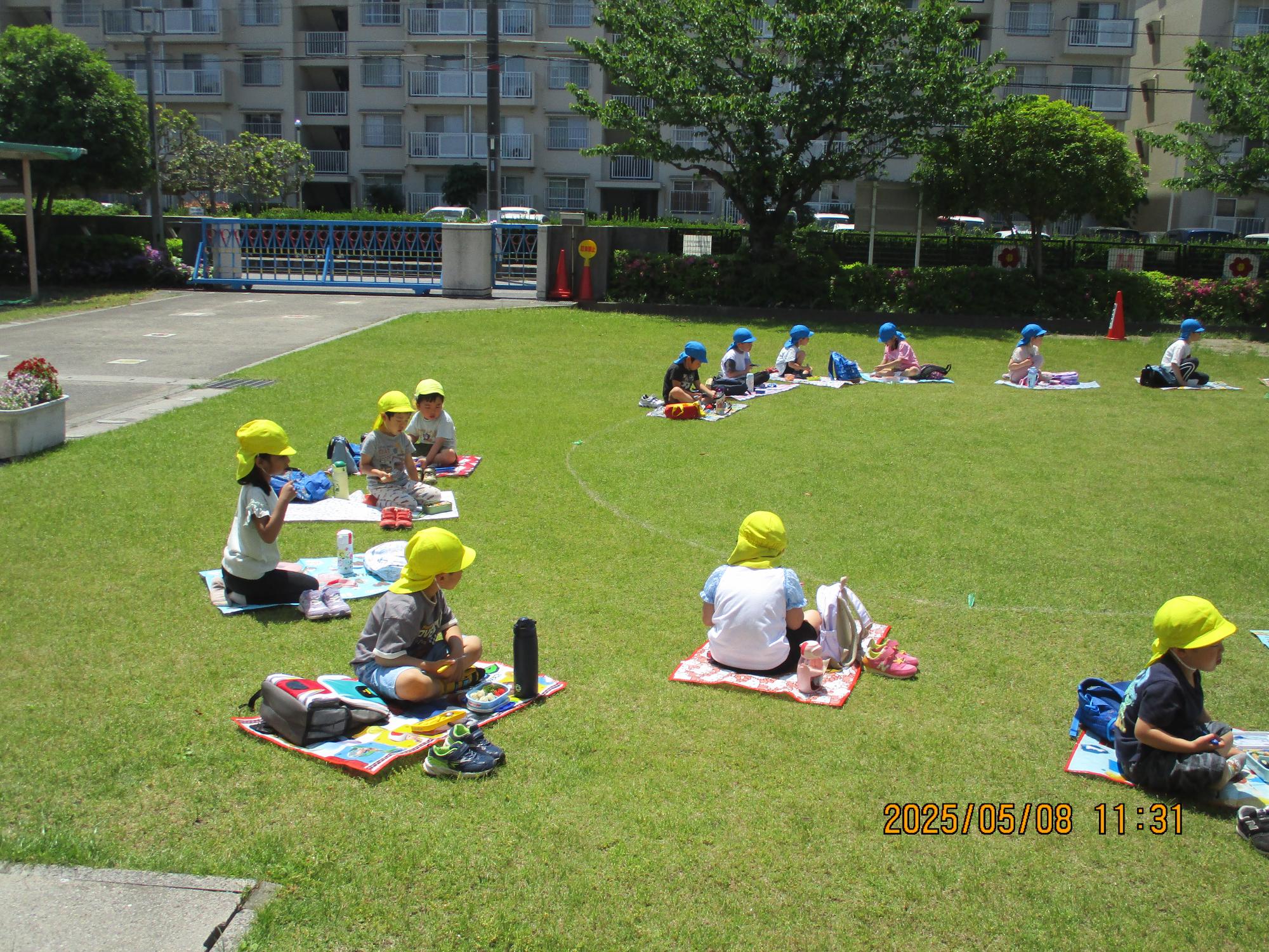 園外保育 お弁当の様子