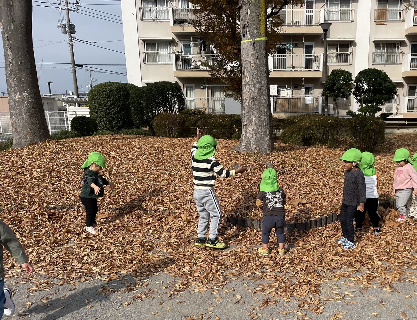 2歳児クラスがお散歩をしているところ