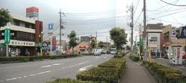 早稲田中央通り商店街の道路沿いに、奥に目立つ色彩の建築物があり、手前には等間隔で植えられた木々と、足元くらいの背丈の植木がきれいに整備されている写真