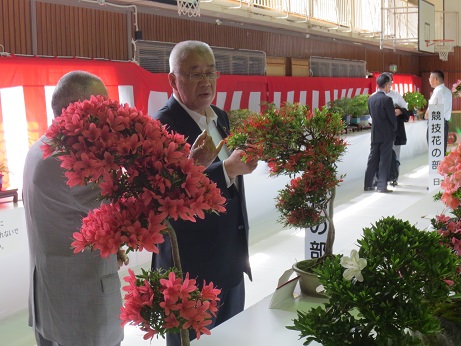 壁に紅白幕が貼られた会場に並んだ赤色やピンク色の花を咲かせたさつきの花の作品の展示を、左側に立っている男性の説明を聞きながら鑑賞している市長の写真