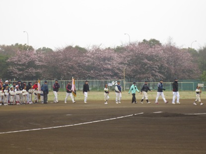 周囲の桜の木に花が咲いている球場で、プラカードを持った選手を先頭に入場行進を行っている様子の写真