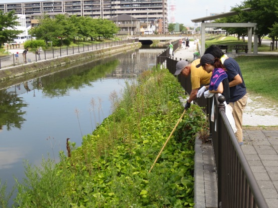 川沿いの草むらに落ちているごみを竹の棒を使って取っている男性と、その様子を横で見ているタオルを首にかけた男性と女性の写真