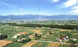 北アルプスを背に、緑の田園が広がる長野県安曇野市の写真