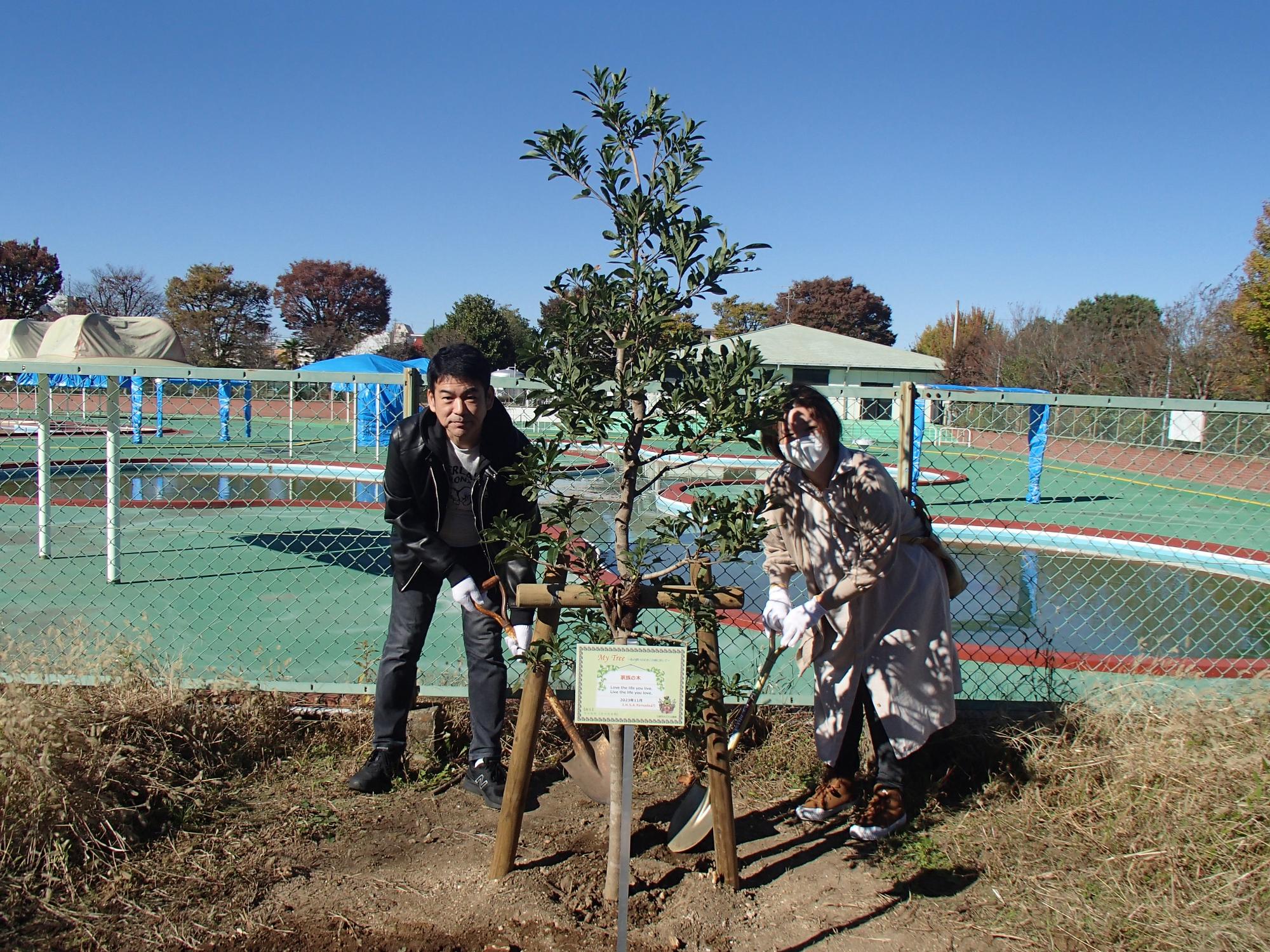 ヤマモモ植樹の様子