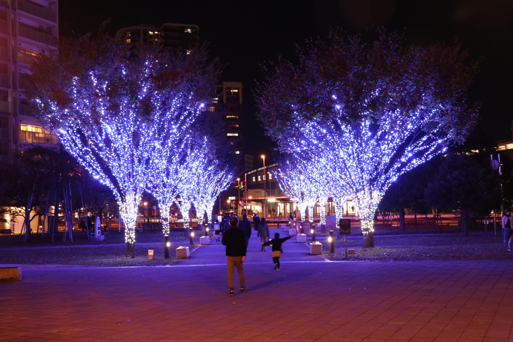 におどり公園イルミネーション