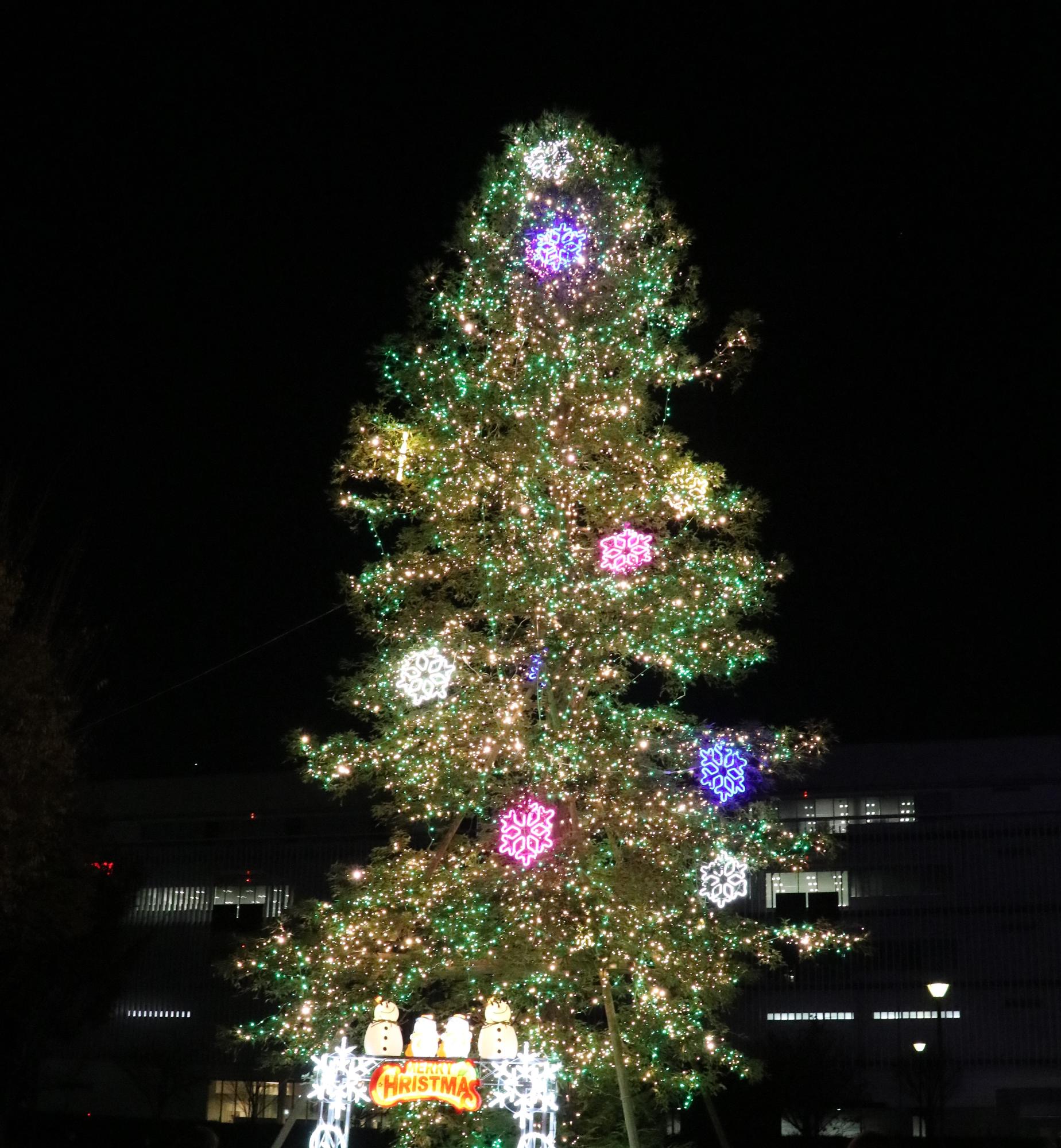 におどり公園イルミネーション2