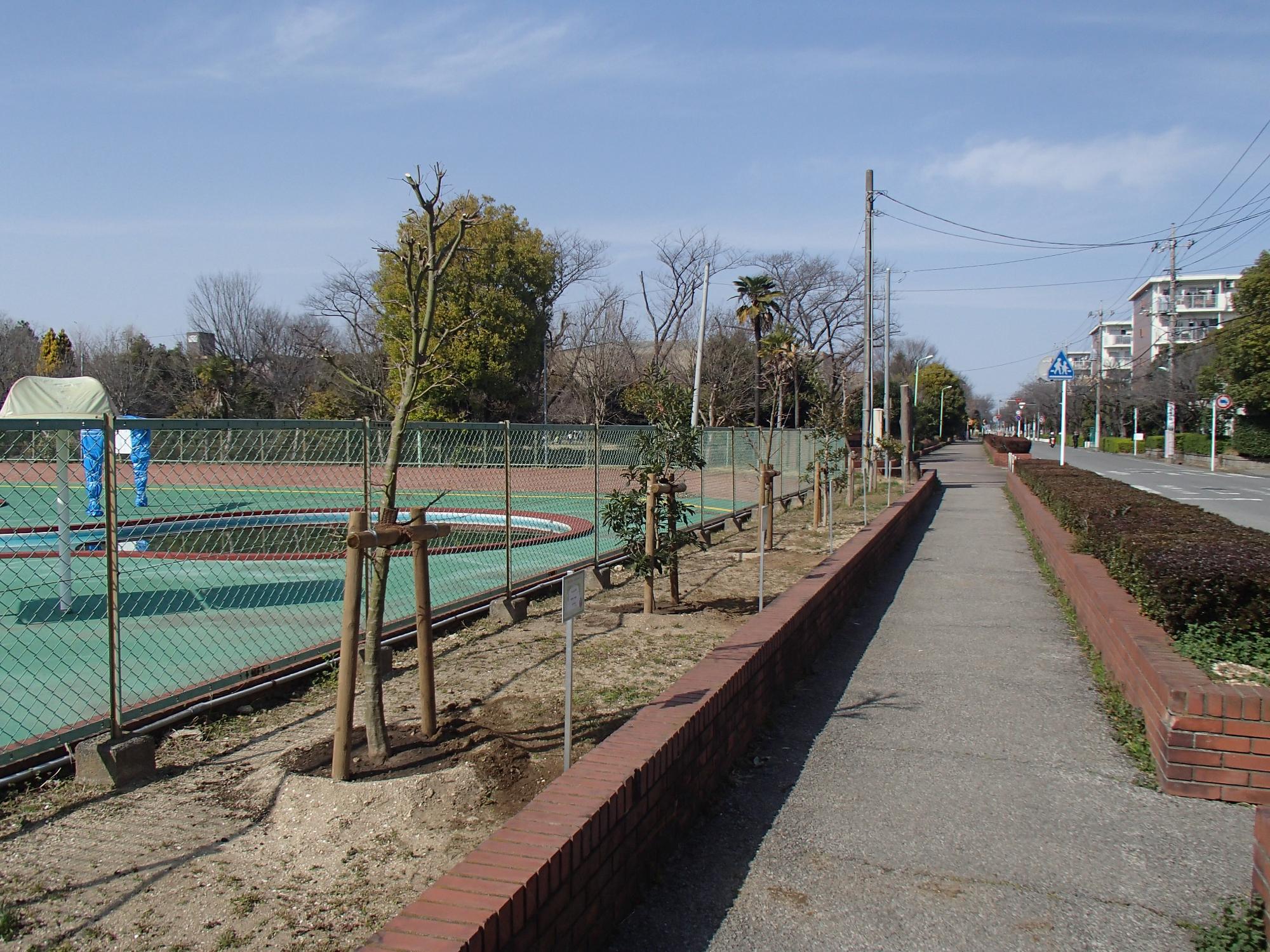 植樹された記念樹