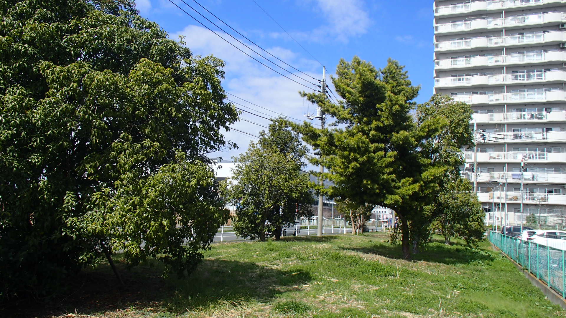 みどりの広場（下彦川戸）2