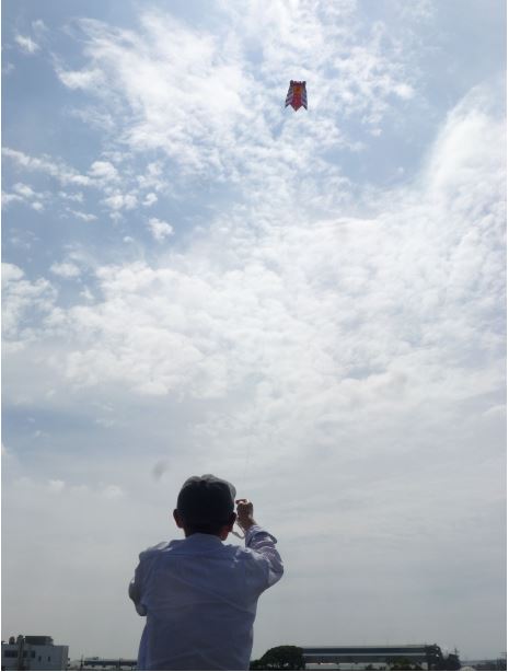みさと凧の会セミ凧の写真