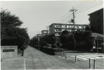 街路樹が立つ奥まで続く道路に沿って団地が連なって建っている白黒写真