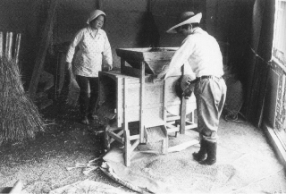 女性と男性が唐箕を使って籾殻と玄米を選別している白黒写真