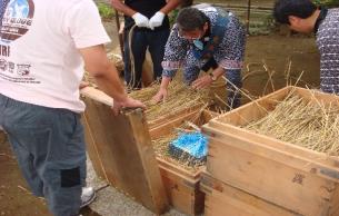 関係者たちが藁が敷かれた木箱の周りに立って作業をしており、一つの木箱には水色のビニールで包まれたお経が置かれている写真