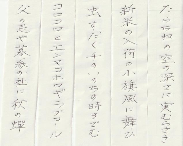 手書きの句が一句ずつ書かれた短冊が、5枚横に並べられた写真