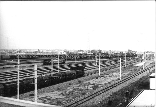 奥に向かって貨物列車が走行している武蔵野操車場の写真