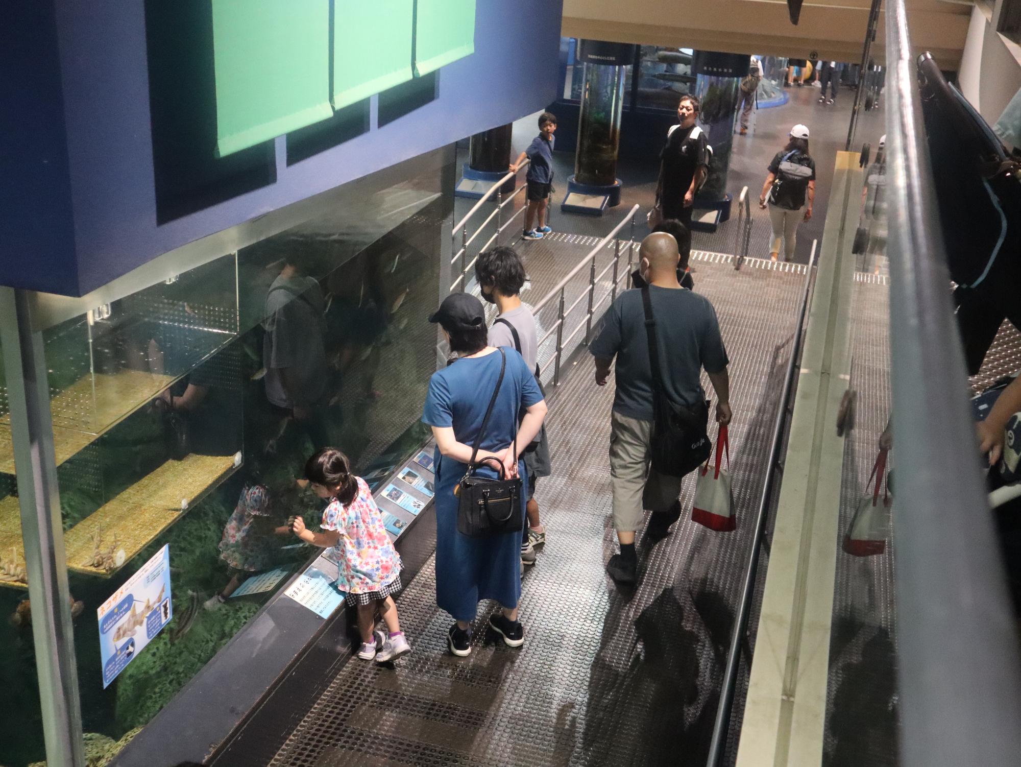 親子でミュージアム3